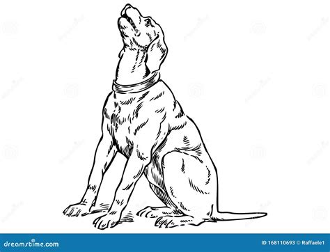 Drawing of Barking Dog with a White Background Stock Illustration ...