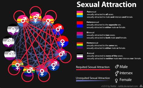 Sexual Attraction By Nelde On Deviantart