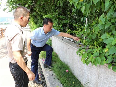 市城管综合执法局主要负责同志深入一线调研市政、照明设施运行管理情况