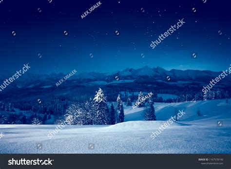 Snowy Winter Night Stunning Night Landscape Stock Photo 1167978190 ...