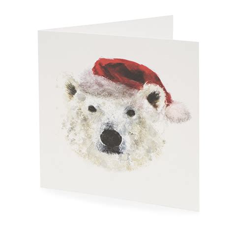 Large Polar Bear Christmas Card 10 Pack Oxfam Gb Oxfams Online Shop