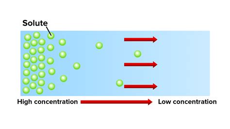 Give A Simple Activity Experiment To Show That The Rate Of Diffusion