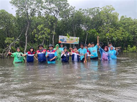 Mangrove Sebagai Pelestari Lingkungan Pulau Untung Jawa Bisnistoday