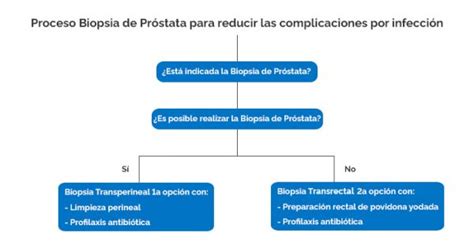 La Biopsia Transperineal Se Recomienda Como Primera Opción En El