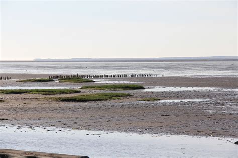 Nationalpark Niedersächsisches Wattenmeer Nationale Naturlandschaften