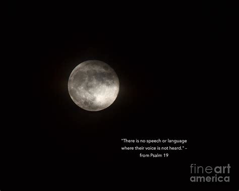 November Full Moon Photograph by James Lloyd - Fine Art America