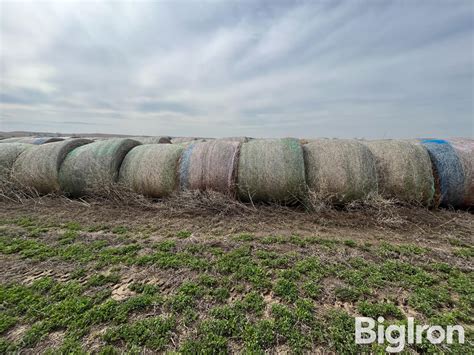 Alfalfa Round Bales St Cutting Bigiron Auctions