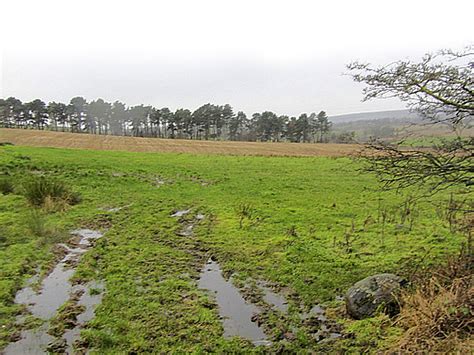 Olor a tierra mojada por qué nos atrae tanto Billiken