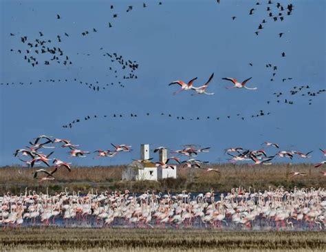 Parc Natural De L Albufera Valencia Este Urbanity