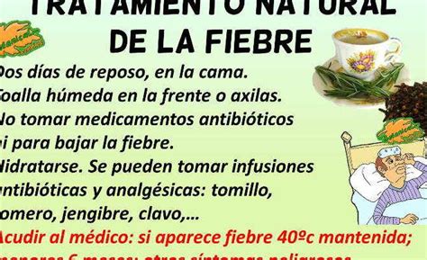 T Cnicas Naturales Y Consejos Para Bajar La Fiebre De Un Beb