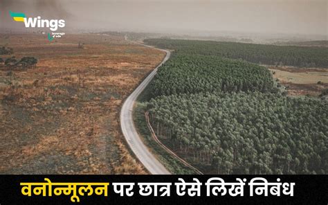 Essay on Deforestation in Hindi : वनोन्मूलन पर छात्र ऐसे लिखें निबंध ...