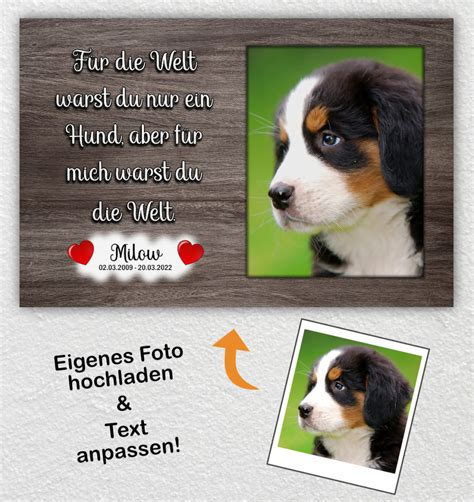 Gedichte Trauersprüche für den Abschied vom Hund