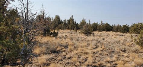 Land For Sale Around Prineville Oregon At Patmbroadus Blog