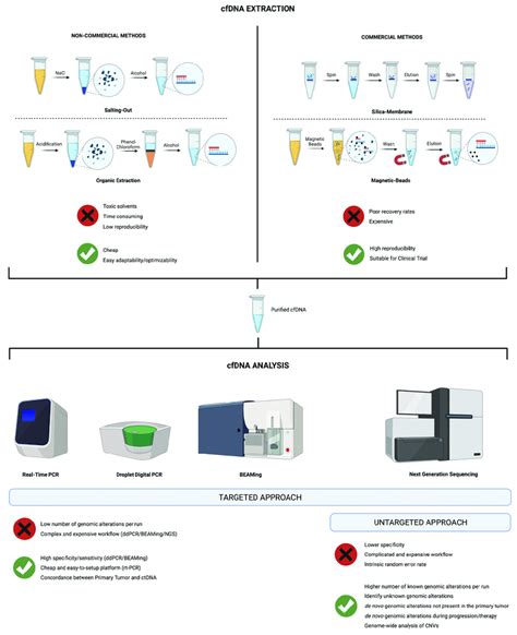 Graphical Representation Of The Cfdna Extraction Methods And Analysis