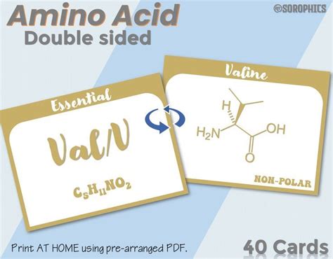 Organic Chemistry Flashcards Printable Chemistry Flashcards Amino