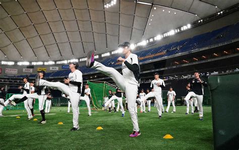 ＜ソ・ロ＞試合前、東京ドームで練習するロッテナイン（撮影・長久保 豊） ― スポニチ Sponichi Annex 野球