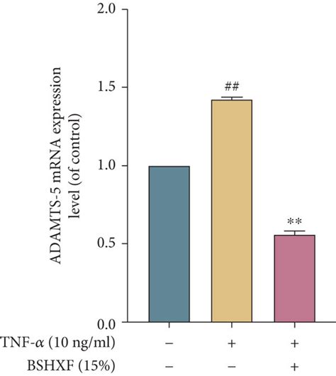 BSHXF treatment alleviates ECM induced by TNF α ad Download