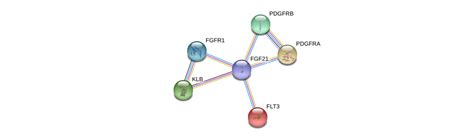 FGF21 Gene - GeneCards | FGF21 Protein | FGF21 Antibody