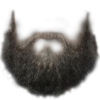 Beard PNG, Beard Transparent Background - FreeIconsPNG