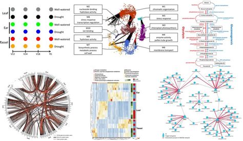 A Systems Approach To A Spatio Temporal Understanding Of The Drought