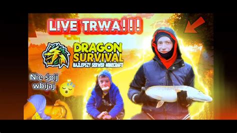 DRAGON SURVIVAL EU 11DAY KLATKI 1VS1 O RZUCAKI LOSOWANIE SWAGGEROW