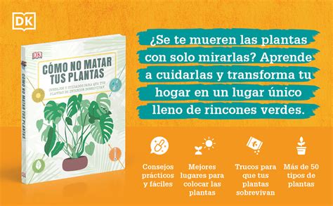 C Mo No Matar Tus Plantas Consejos Y Cuidados Para Que Tus Plantas