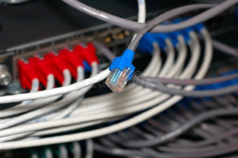 Ethernet Cables Stock Photo Image Of Crossover Networking 10911888