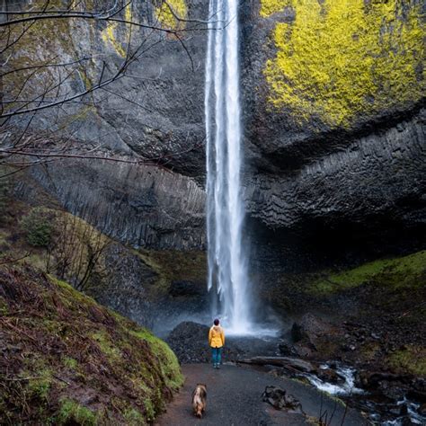 8 Incredible Waterfalls in Oregon to Add to Your Bucket List! - Made to ...