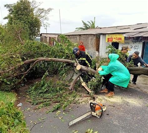 Damkar Kuningan Tangani Pohon Tumbang Yang Menutup Akses Jalan Desa