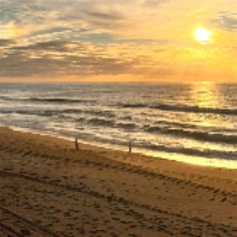 Dildo Players XHamster