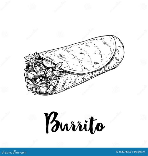 Hand Drawn Sketch Style Burrito Wrap Traditional Mexican Cuisine