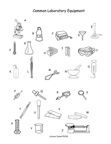 Biology Lab Equipment Diagram Quizlet