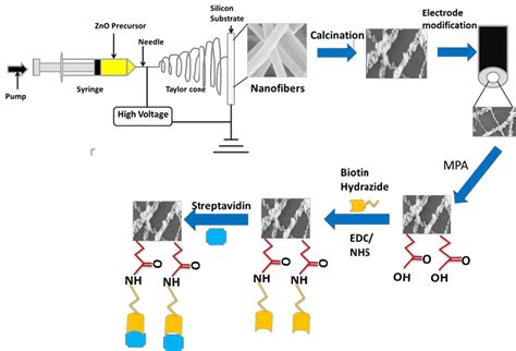 Schematic Representation Of Electrospinning And Biosensor Fabrication