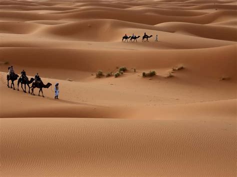 Fond Ecran Desert Sahara Online Simpleplanning Net