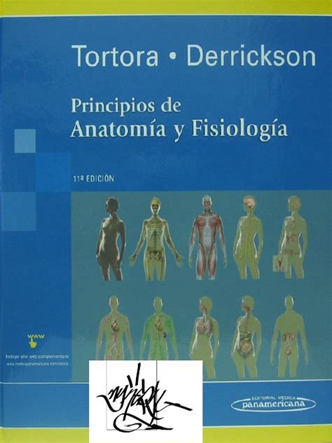 Myneral Principios De Anatom A Y Fisiolog A Ed Tortora Derrickson