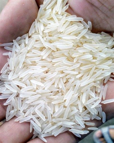 Hard Common White Sella Basmati Rice Variety Long Grain At Rs 70 In