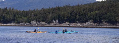 Guided Kayak Tour Auke Bay Juneau Ak Above And Beyond Alaska