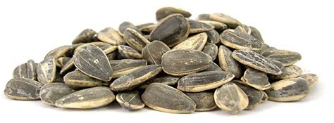 Salted In Shell Roasted Sunflower Seeds