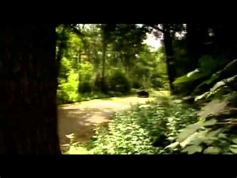 Тайны третьего рейха (Все 5 частей) - YouTube