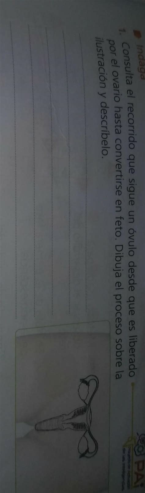 Ayuda Para Ahorita Para Hoy Alumnos Planeaciondidactica Cucea Udg Mx