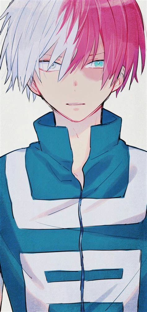 The Best Shoto Todoroki Hot Passcokeesz