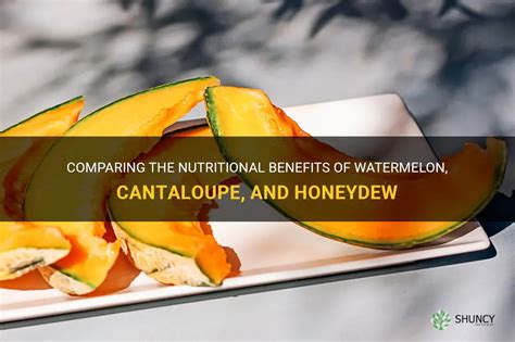 Comparing The Nutritional Benefits Of Watermelon, Cantaloupe, And ...