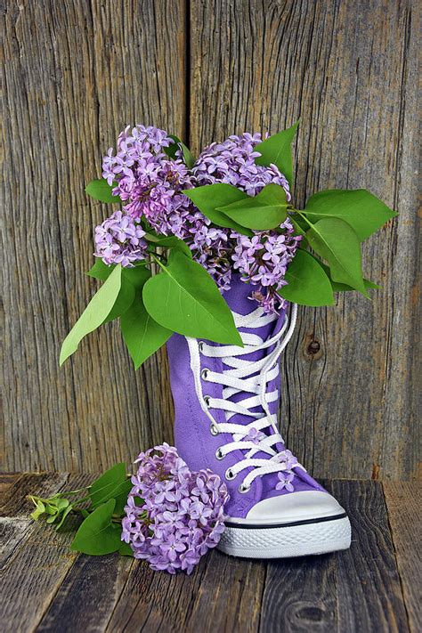 Lilac Sneaker Photograph By Maria Dryfhout Fine Art America