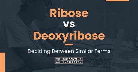 Ribose vs Deoxyribose: Deciding Between Similar Terms