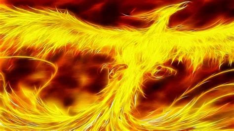 Phoenix Bird Wallpapers Wallpaper Cave