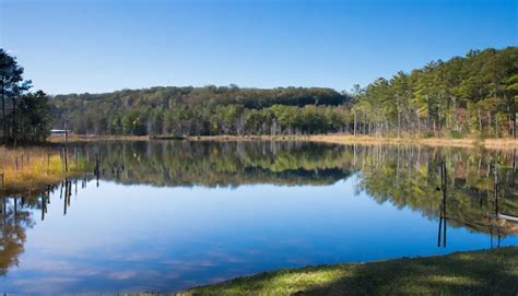 Premium Photo Lakeside Serenity Tranquil Waterside Reflections