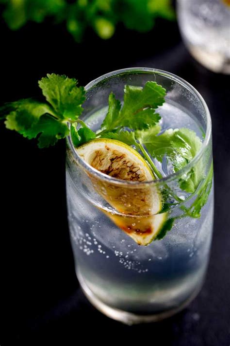 Charred Lime Gin And Tonic With Fresh Coriander Sprinkles And Sprouts