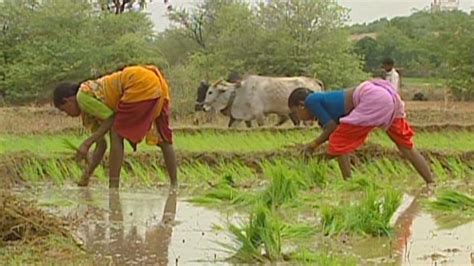 Climate change in India - CNN Video