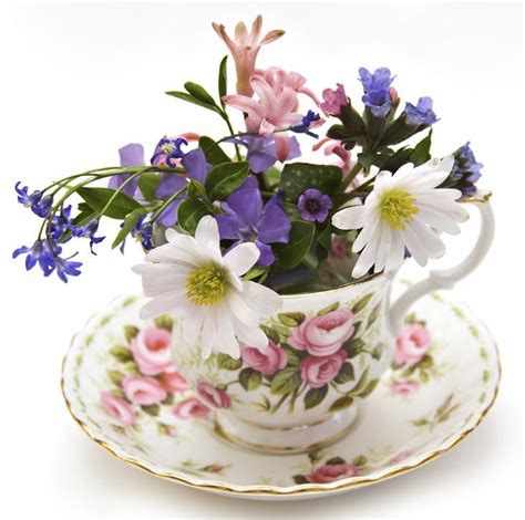 803 best images about tea cup flower on Pinterest | Vintage teacups ...