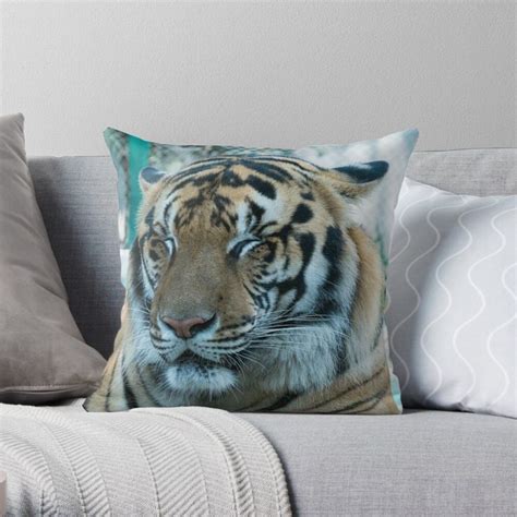 Sleepy Bengal Tiger Throw Pillow For Sale By Ross Campbell Throw